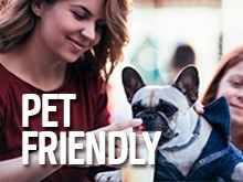pet friendly pet friendly