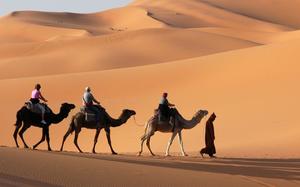 Desierto