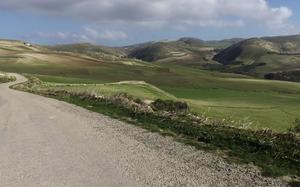 Paisaje entre Beja y Tabarka