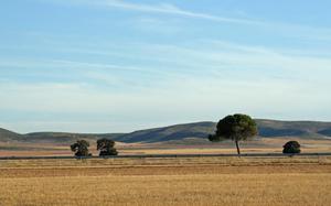 La Mancha