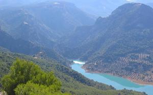 Pantano