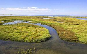 Delta del Ebro