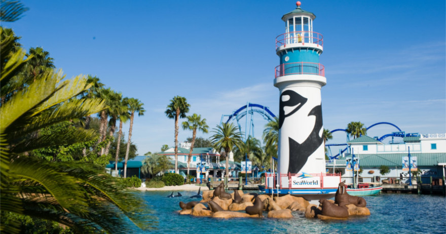 Entradas para Entradas para SeaWorld, Busch Gardens y Aquatica (Orlando