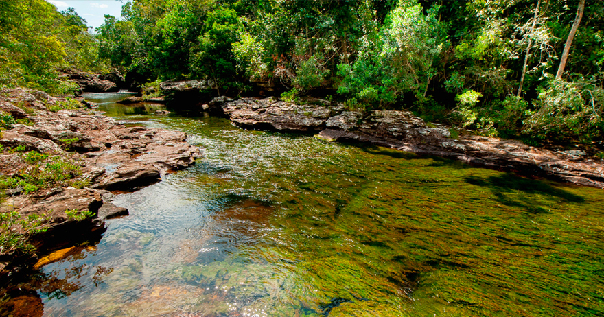 Conoce Caño Cristales el río de los 5 colores (La Macarena ...