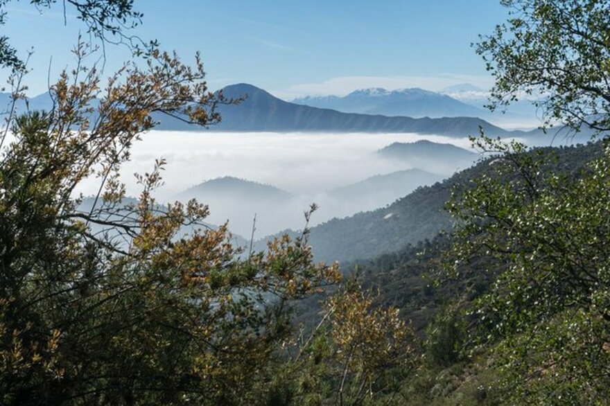 Parque Nacional La Campana Tour Privado De Día Completo Guiado