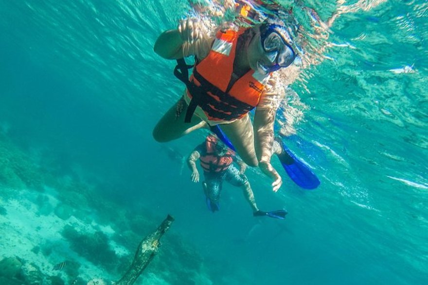 Tour De Snorkel En Isla Mujeres Con Almuerzo Incluido Cancún