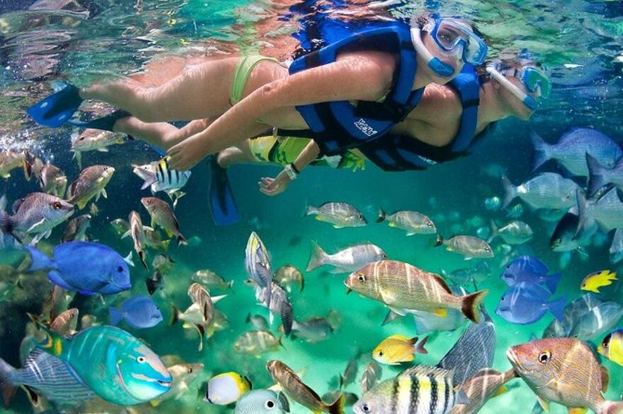 Descubre Isla Mujeres Con Este Tour Con Snorkel Buffet Y Barra Libre Cancún 