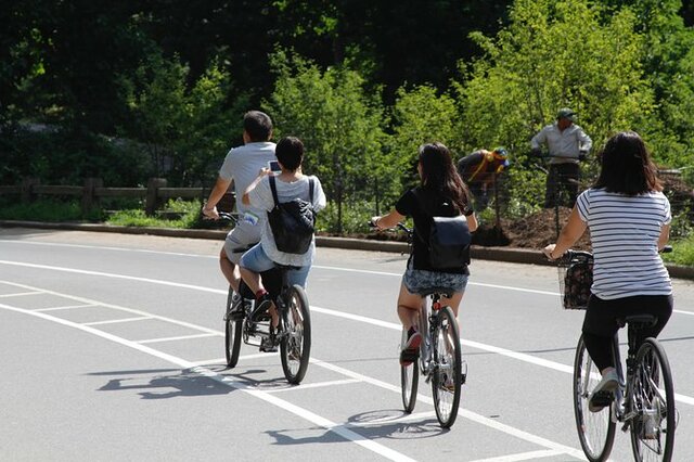 Alquiler De Bicicletas En Central Park Nueva York Atrapalo Com