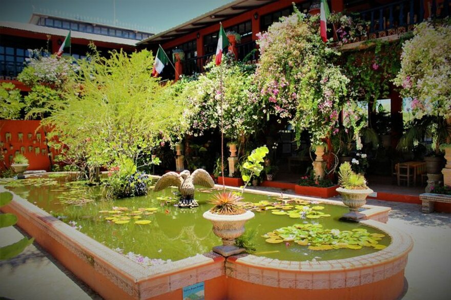 Jardín Botánico de Puerto Vallarta, recorrido con degustación de tequila, almuerzo. (Puerto