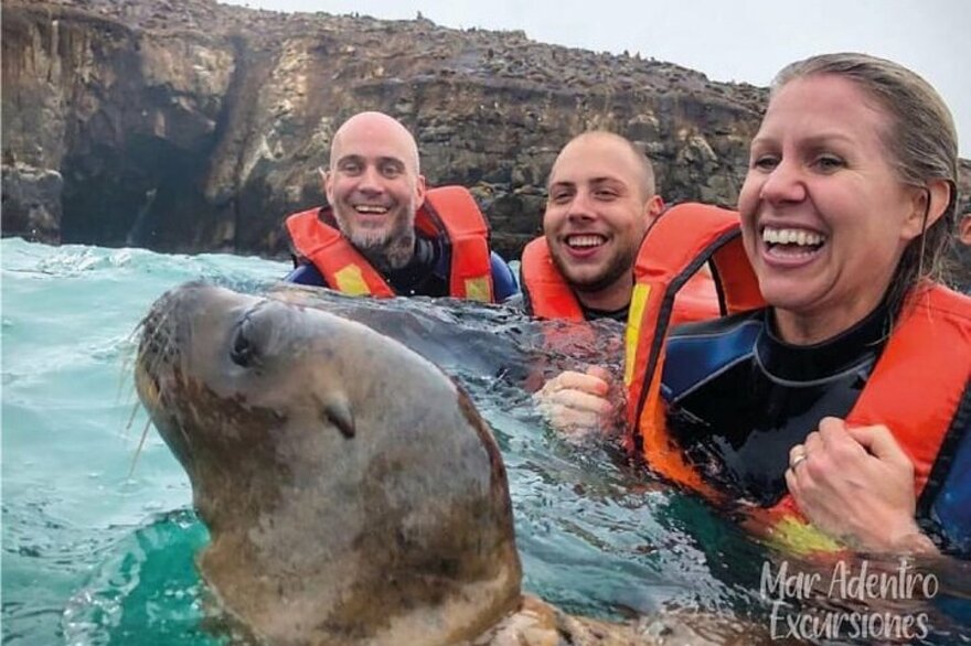 Tour privado para avistar leones marinos en las islas Palomino desde Lima  (Lima) 