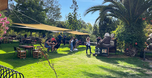 Tour y cerveza en Die M Cervecera Artesanal, Buin