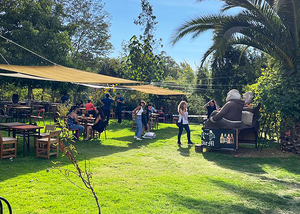 Tour y cerveza en Die M Cervecera Artesanal, Buin