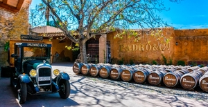 Sumrgete en el fascinante mundo del vermut en Casa Vermouth Padr