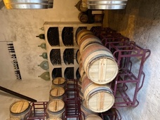 Foto nro 4 de MARIA DE LA CRUZ RIVAS GARCIA