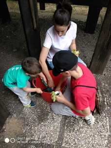 Foto nro 7 de evelyn piriz abellan