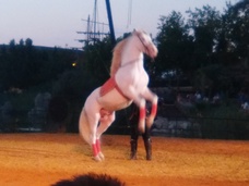 Foto nro 2 de maria Giles