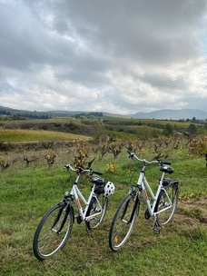 Excursió genial, el personal del lloguer de bicis (Albert) molt atent i simpàtic, recomanable 100%. La cata de vins i pica pica ha estat genial també, molt completa l?experiència, recomanada per fer una cosa diferent ?