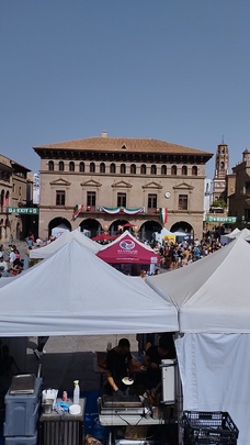Foto nro 4 de PILAR TORRENT ABULI