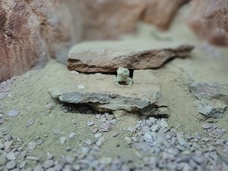 Foto nro 8 de Mathias Martorell