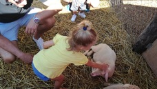 Foto nro 8 de Delphine Castel