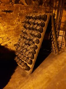 Foto nro 3 de Remei Gracia Sala