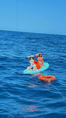 Foto nro 1 de Andreea Dora
