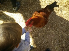 Foto nro 2 de Albert Alonso Peinado