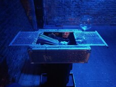 Foto nro 6 de Refuerzo_Divertido, del espectáculo AbracaDania