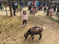 Foto nro 6 de noelia agudo martinez