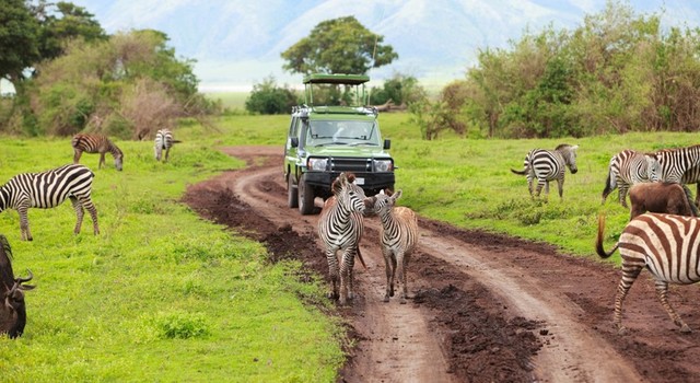 Paquete Gran Safari Por El Norte De Tanzania Y Zanzibar