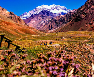 &iexcl;Disfrut&aacute; de Mendoza todo el a&ntilde;o!