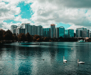 Aventura y magia en Orlando