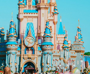Viv&iacute; la magia de Disney