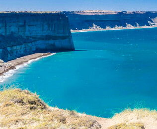 Puerto Madryn, avistaje de ballenas y maravillas naturales