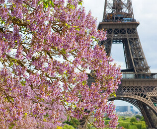 De Londres a Par&iacute;s: &iexcl;Dos destinos, un solo sue&ntilde;o!