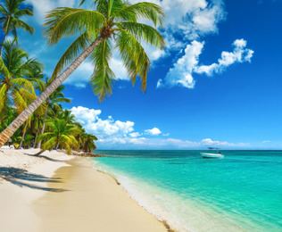 &iexcl;Disfrut&aacute; de las playas de Punta Cana!