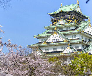 Descubre Jap&oacute;n con los cinco sentidos