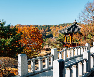 Un viaje al coraz&oacute;n de Corea del Sur