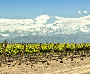 Tus d&iacute;as al ritmo del vino, el sol y los sabores de la monta&ntilde;a