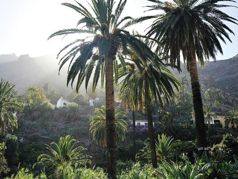 Apartamentos Residencial El Llano, Valle Gran Rey (La Gomera
