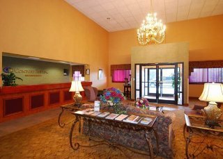 Hotel Comfort Suites Airport Knoxville Tennessee Tn Atrapalo Gt