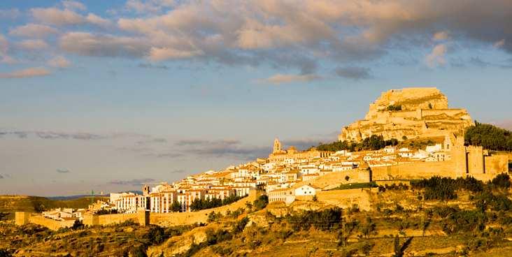Morella