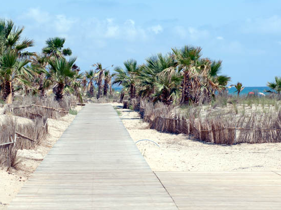 Playa