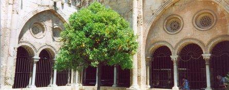 Tarragona