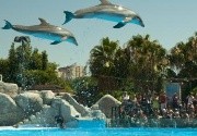 Entradas en Selwo Marina Entradas en Selwo Marina