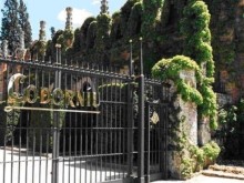 Actividades en Codorniu Actividades en Codorniu
