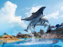 Entradas en Marineland Catalunya Entradas en Marineland Catalunya