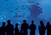 Entradas en Palma Aquarium Entradas en Palma Aquarium