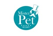 Actividades en Mister Pet Resort Actividades en Mister Pet Resort
