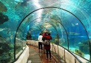 Espectáculos en Sea Life Benalmadena Espectáculos en Sea Life Benalmadena
